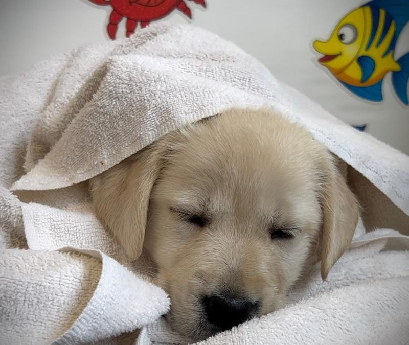 Snuggle in my Bathtowel