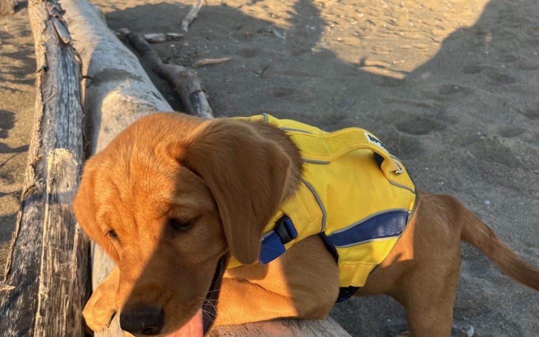 Chloe at Port Bruce 🏖️💦