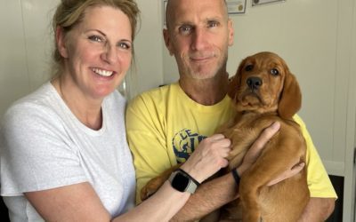 Nelly (formerly Leia) has joined her loving new family in Toronto, ON🩷